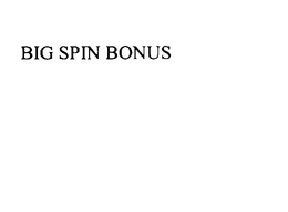 BIG SPIN BONUS