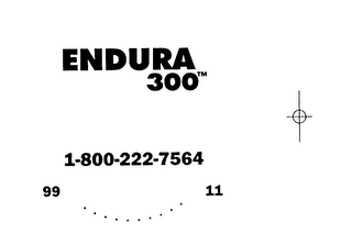 ENDURA 300