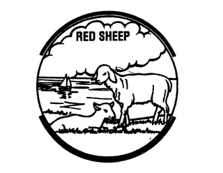 RED SHEEP