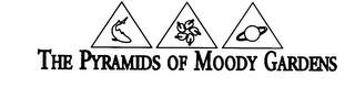 THE PYRAMIDS OF MOODY GARDENS