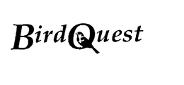 BIRDQUEST, LLC