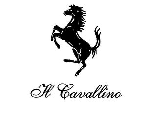 IL CAVALLINO