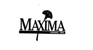 MAXIMA FARMS, INC.