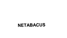 NetAbacus Corporation