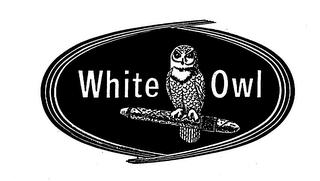 WHITE OWL