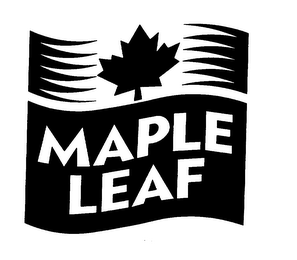MAPLE LEAF