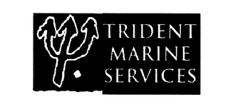 TRIDENT MARINE SERVICES