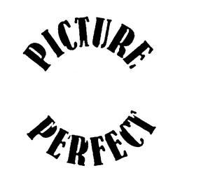 PICTURE PERFECT