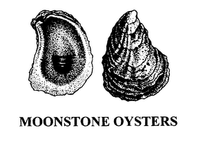 MOONSTONE OYSTERS