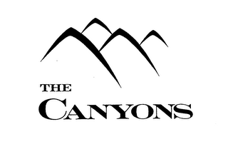 THE CANYONS