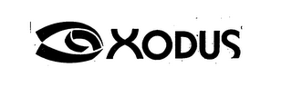 XODUS 19