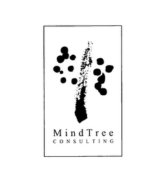 MINDTREE CONSULTING