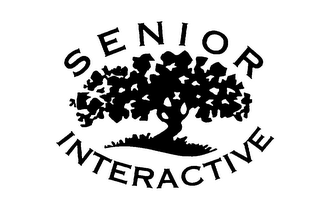 SENIOR INTERACTIVE