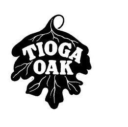 TIOGA OAK