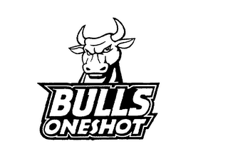 BULLS ONESHOT