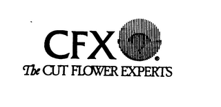 CFX THE CUT FLOWER EXPERTS