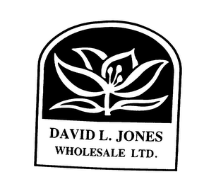 DAVID L. JONES WHOLESALE LTD.