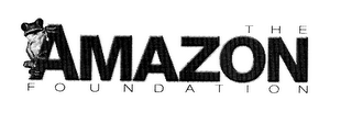 THE AMAZON FOUNDATION