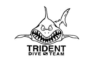 TRIDENT DIVE TEAM