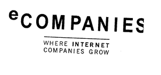 ECOMPANIES WHERE INTERNET COMPANIES GROW