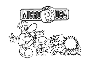 MICRO POP USA