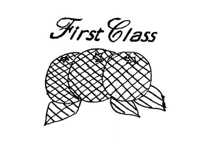 FIRST CLASS