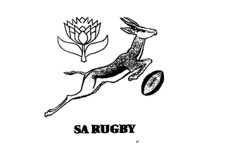 SA RUGBY