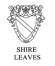 PAGUS SHIRE LEAVES