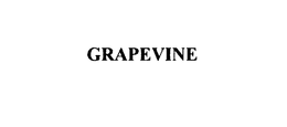 GRAPEVINE
