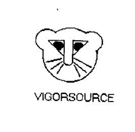 VIGORSOURCE