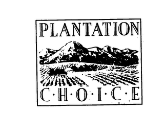 PLANTATION CHOICE