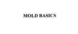 MOLD BASICS