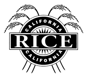 CALIFORNIA RICE