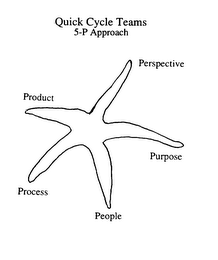 QUICK CYCLE TEAMS 5-P APPROACH PERSPECTIVE PURPOSE PEOPLE PROCESS PRODUCT
