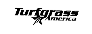 TURFGRASS AMERICA