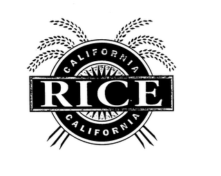 CALIFORNIA RICE CALIFORNIA