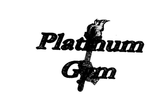 PLATINUM GYM