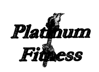 PLATINUM FITNESS