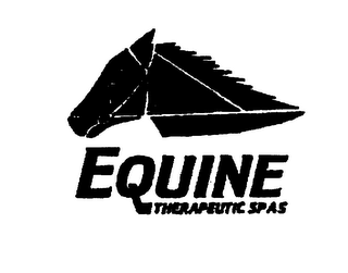 EQUINE THERAPEUTIC SPAS