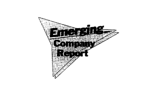 EMERGING COMPANY REPORT