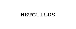 NETGUILDS,INC