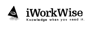 IWORKWISE KNOWLEDGE WHEN YOU NEED IT.