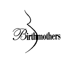 BIRTHMOTHER MINISTRIES, INC.