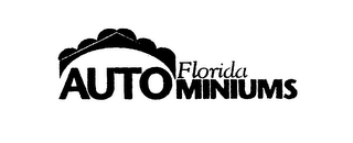 FLORIDA AUTOMINIUMS