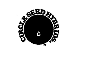 CIRCLE SEED HYBRIDS