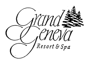 GRAND GENEVA RESORT & SPA