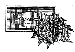 POINSETTIA IN A BASKET