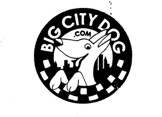 BIG CITY DOG.COM