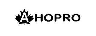 A HOPRO
