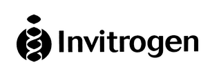 INVITROGEN